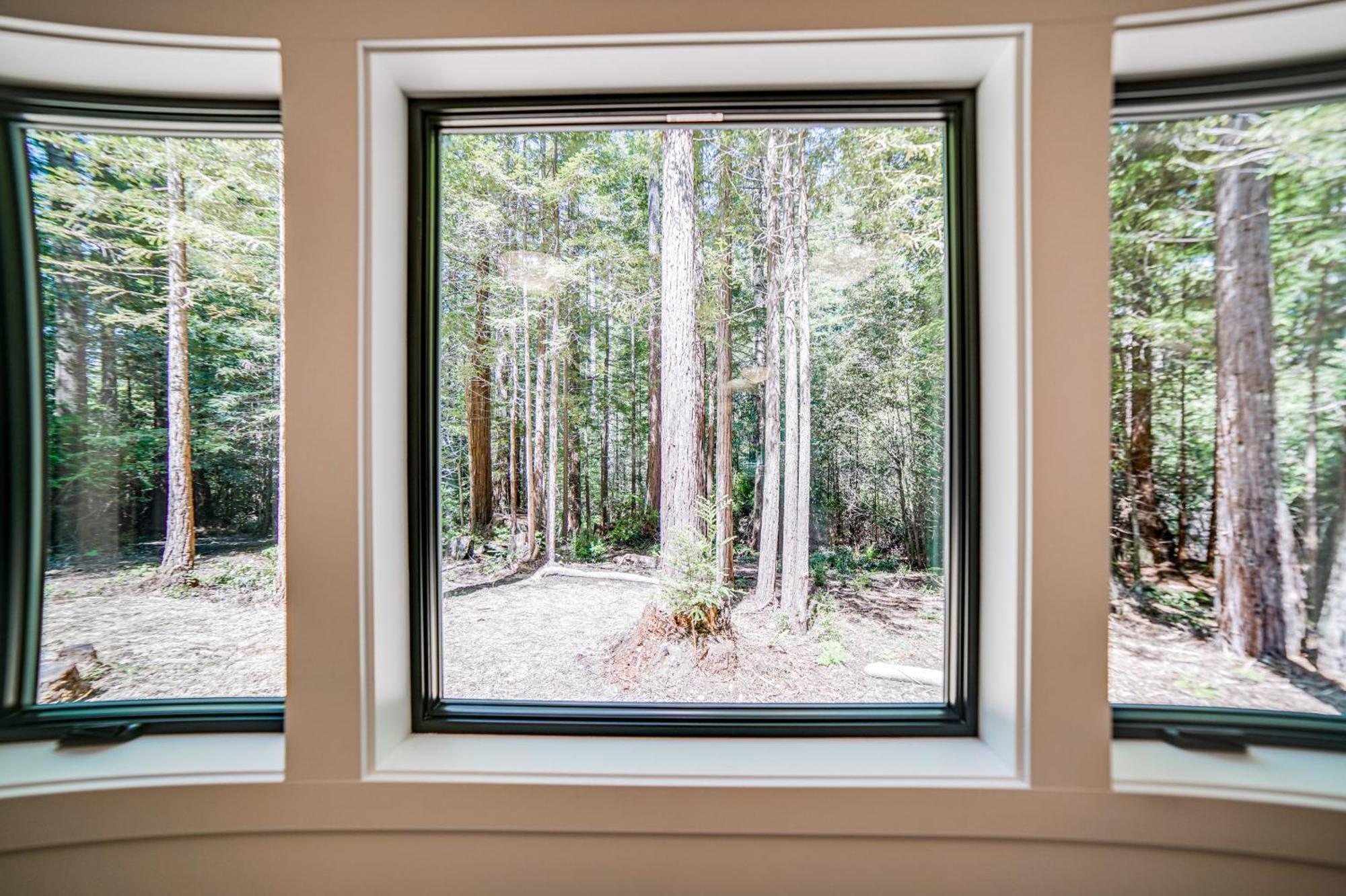 Peaceful Surrounded By Redwoods Holiday home